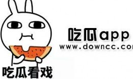 各种网红吃瓜黑料图片,真相与争议并存